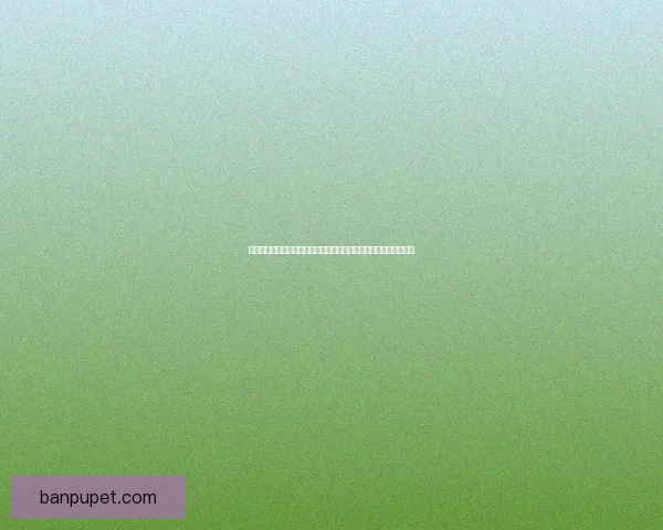 九游官方正版下载畅享无限乐趣，手游玩家必备平台一站式服务体验