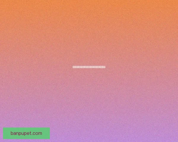 五行斗法副本全攻略详细解析技巧与策略通关指南