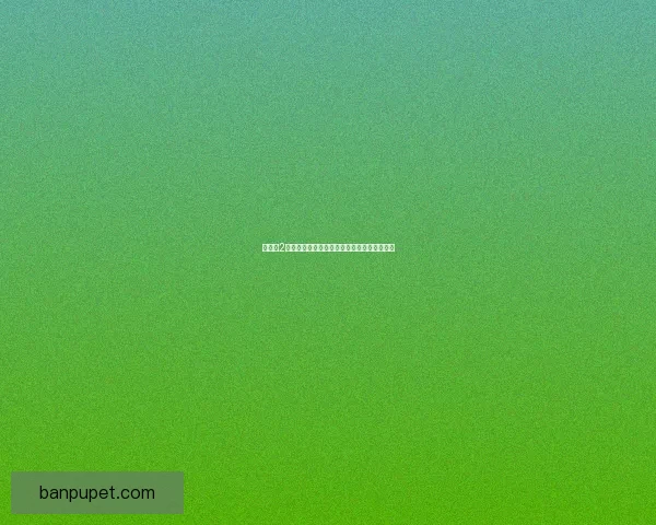 冒险岛2符文剑士加点攻略及技能搭配详解与玩法心得