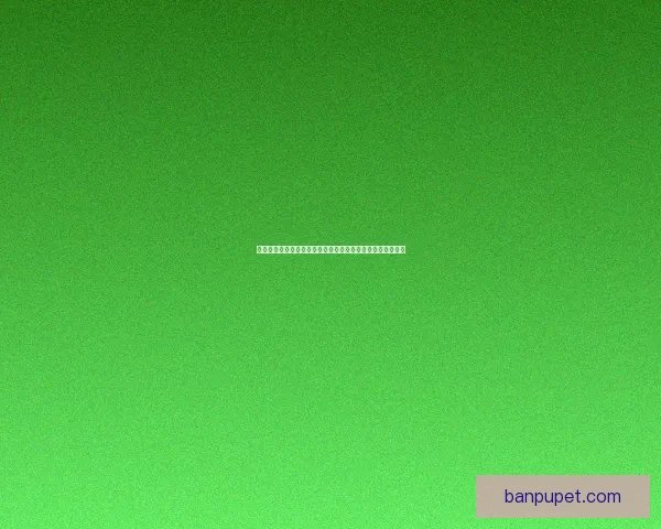 剑侠世界职业推荐指南：如何选择最适合你的职业与发展路线