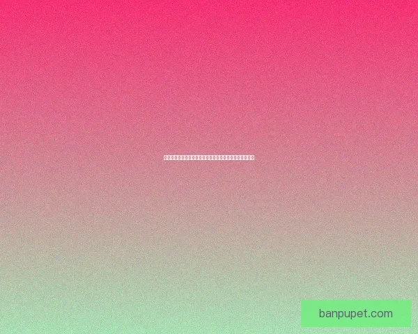 圣石小子游戏下载攻略与安装教程一站式解决你的所有问题 圣石小子游戏下载攻略与安装教程一站式解决你的所有问题