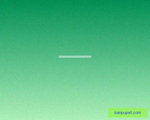 惩戒骑士雕文搭配与优化指南助你提升战斗表现与技能效果