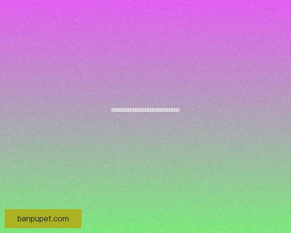 梦幻西游手游泡泡乐园探险新玩法精彩上线,快来体验更多乐趣 梦幻西游手游泡泡乐园探险新玩法精彩上线,快来体验更多乐趣