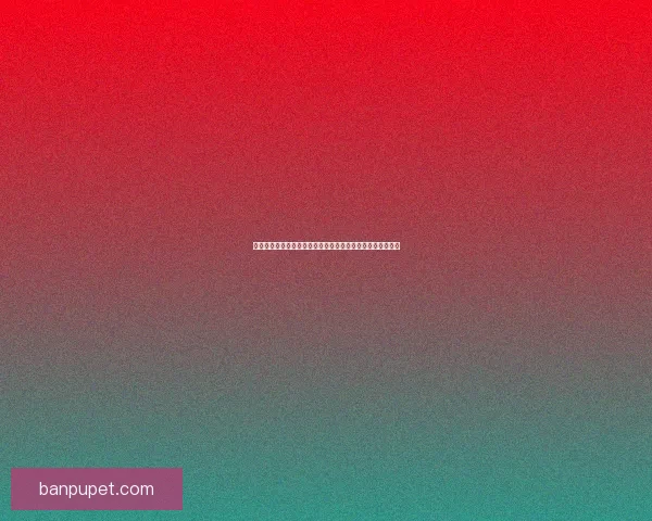 猎人与宠物的深厚羁绊:探索他们共同冒险的世界与情感纽带 猎人与宠物的深厚羁绊:探索他们共同冒险的世界与情感纽带