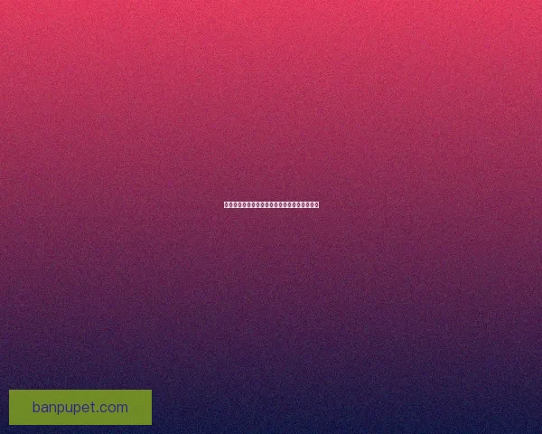 突袭赫拉斯事件背后的战略布局与军事意义解析