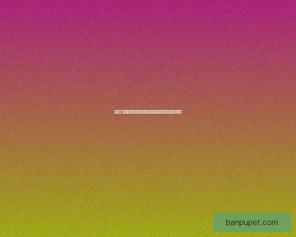 红警2经典秘籍大全助你轻松制霸战场全方位技巧与攻略解析