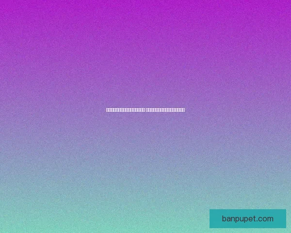 以前锋套装为核心打造全能战术体系 提升团队协作与进攻效率的创新方案