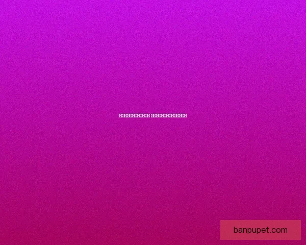 伊洛纳神之试炼挑战全解析 探索神秘世界与勇者的最终对决