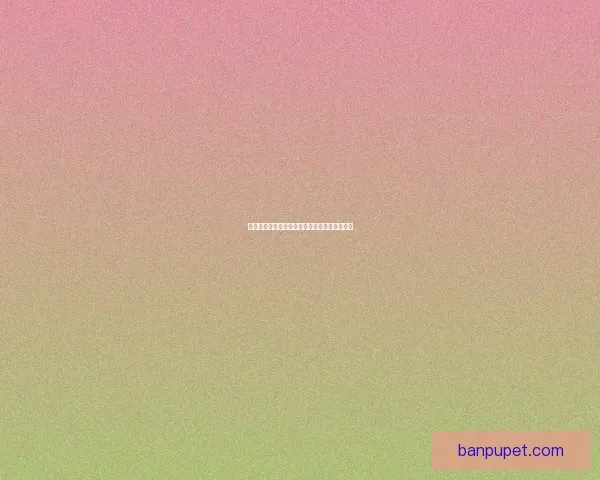 公会活动策划方案打造精彩纷呈的团队互动体验