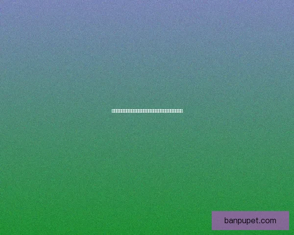 国王的恩赐秘籍揭秘如何运用智慧与勇气走向王国荣耀与权力巅峰