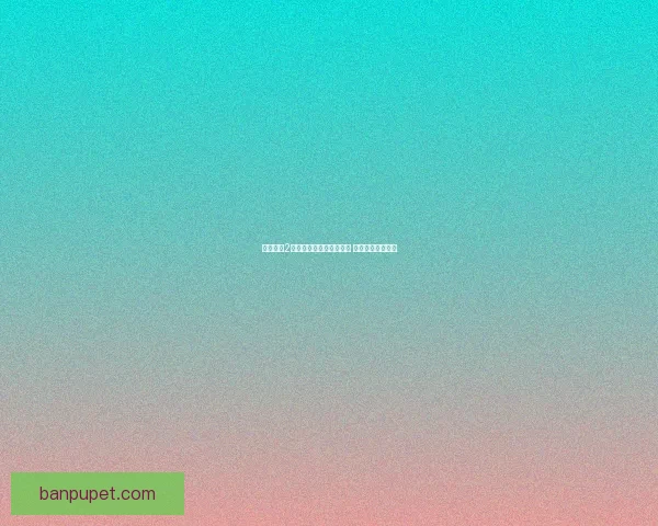 地下城堡2石棺谜题探索与解锁攻略 完美通关技巧揭秘