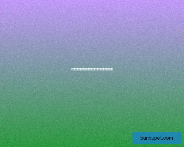 御魂九层详细攻略及阵容搭配技巧解析助你轻松突破关卡挑战